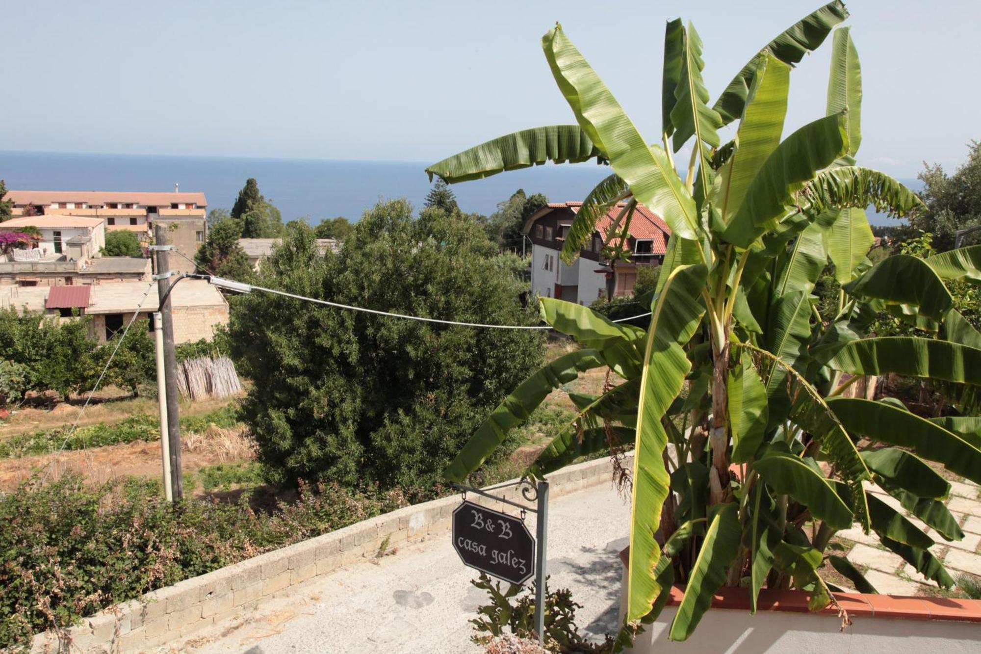 Bed And Breakfast Casagalez Santa Domenica  Exterior photo