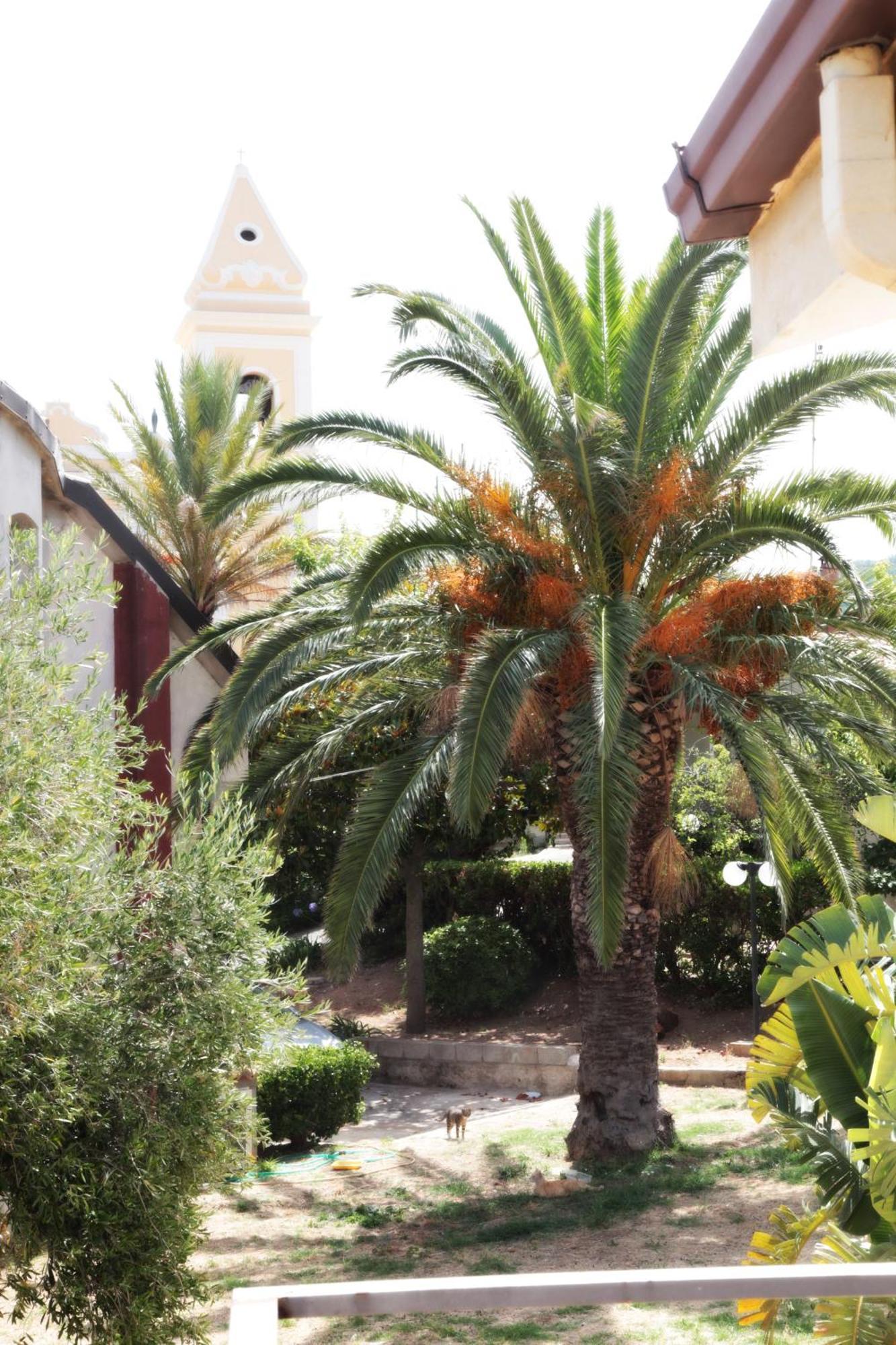 Bed And Breakfast Casagalez Santa Domenica  Exterior photo