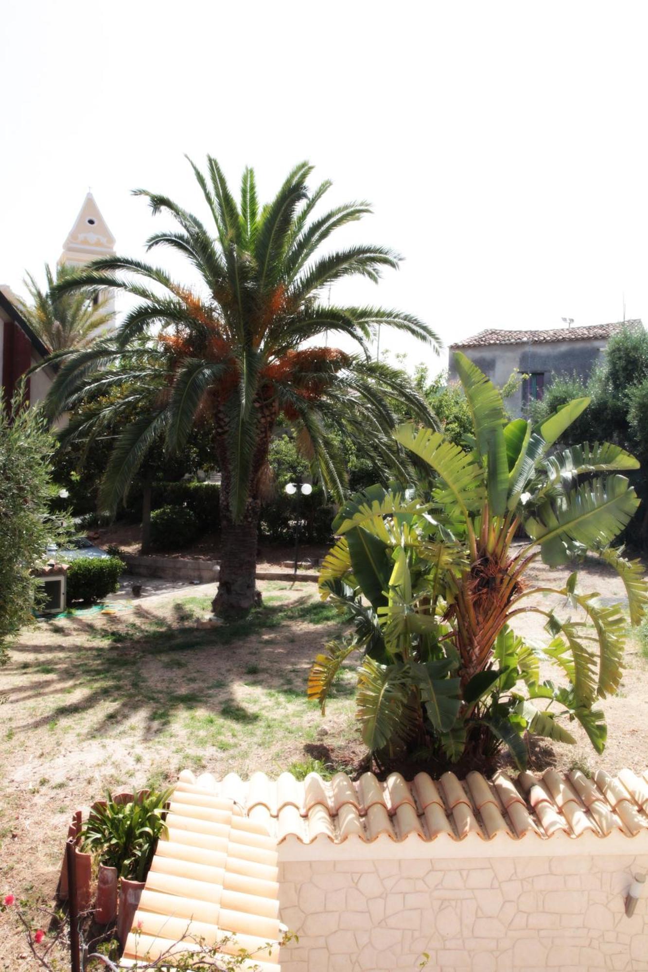 Bed And Breakfast Casagalez Santa Domenica  Exterior photo